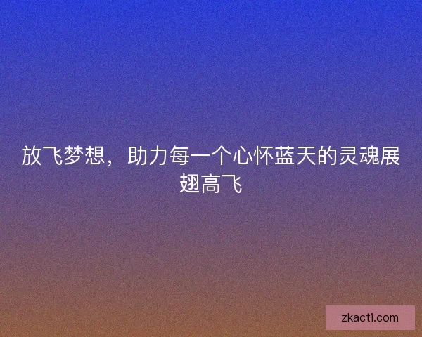 放飞梦想，助力每一个心怀蓝天的灵魂展翅高飞